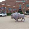 bricktown-ballpark-and-buffalo