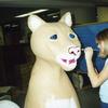katie-the-cougar-10