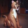 katie-the-cougar-11
